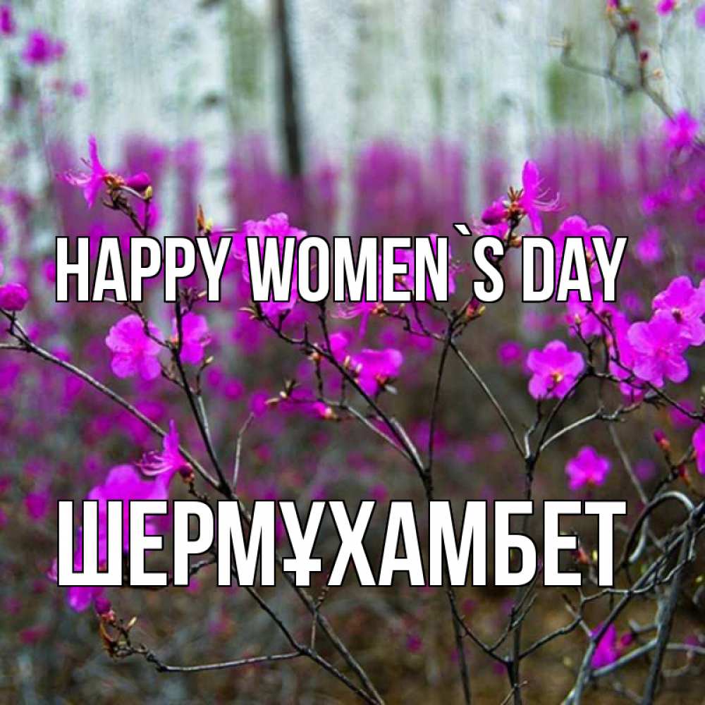 Greetings card с именем, ШЕРМҰХАМБЕТ happy women`s day дикие цветы Greetings with text for free download 